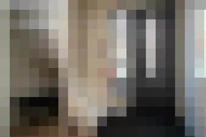 Rietkamer 8 Genemuiden thumbnail 39