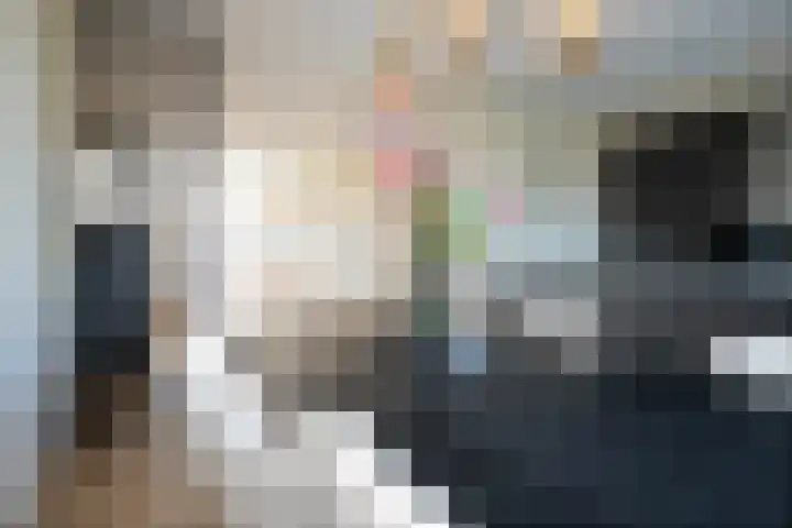Rietkamer 8 Genemuiden thumbnail 4