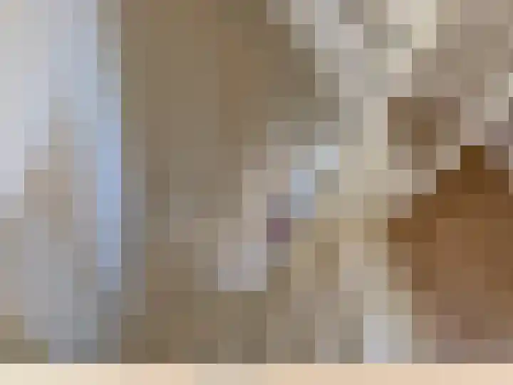 Rietkamer 8 Genemuiden thumbnail 40
