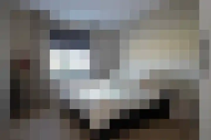 Rietkamer 8 Genemuiden thumbnail 41