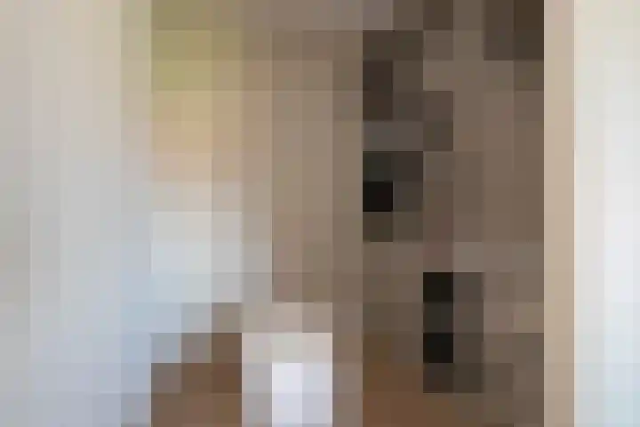 Rietkamer 8 Genemuiden thumbnail 42