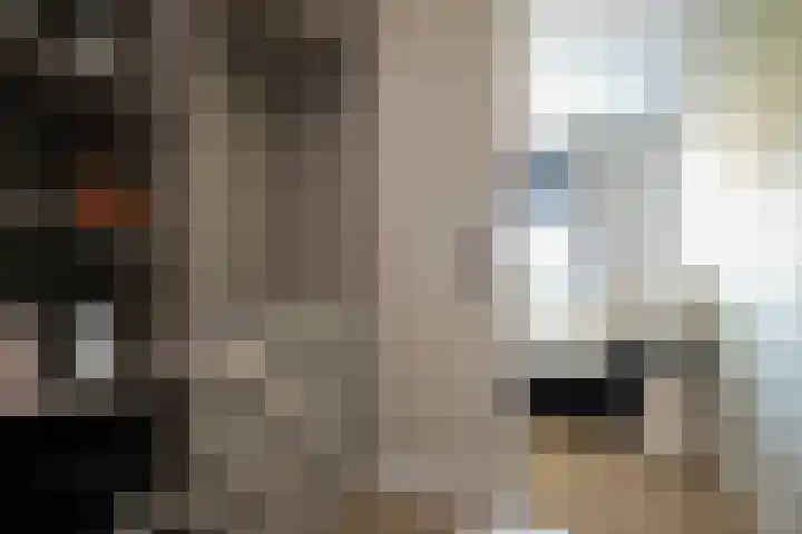 Rietkamer 8 Genemuiden thumbnail 43