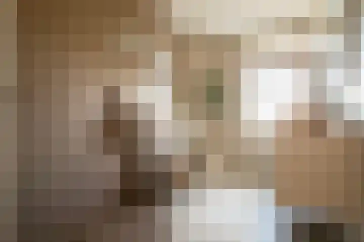 Rietkamer 8 Genemuiden thumbnail 44