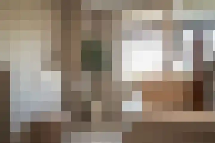 Rietkamer 8 Genemuiden thumbnail 45