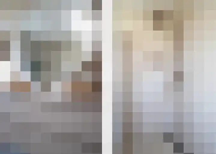 Rietkamer 8 Genemuiden thumbnail 46