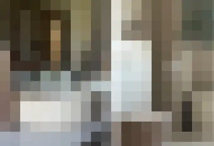 Rietkamer 8 Genemuiden thumbnail 47