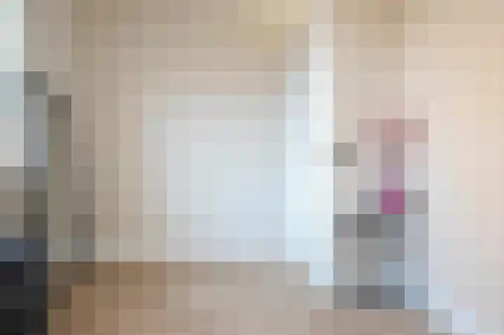 Rietkamer 8 Genemuiden thumbnail 49