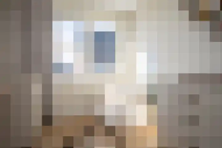 Rietkamer 8 Genemuiden thumbnail 50