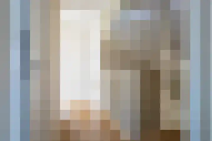 Rietkamer 8 Genemuiden thumbnail 52