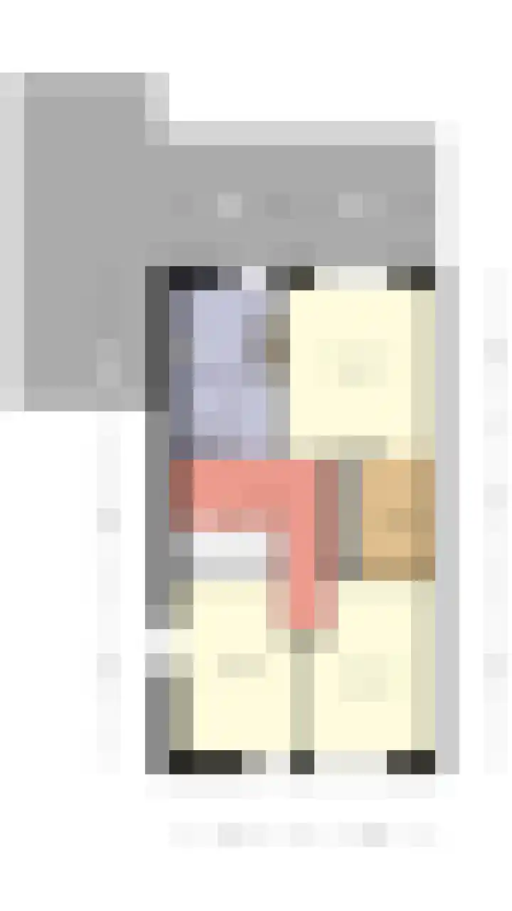 Rietkamer 8 Genemuiden thumbnail 55