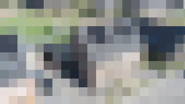 Rietkamer 8 Genemuiden thumbnail 6