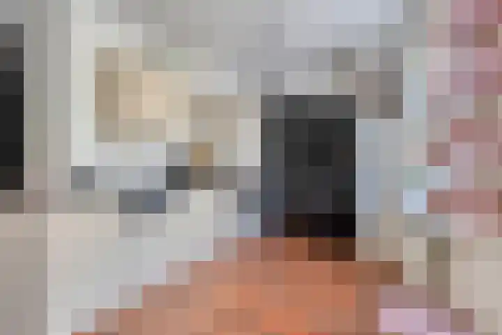 Rietkamp 1 Wapenveld thumbnail 10