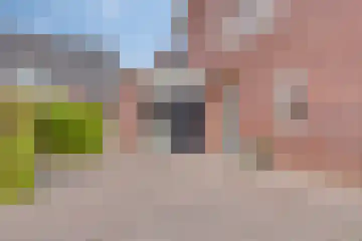 Rietkamp 1 Wapenveld thumbnail 13