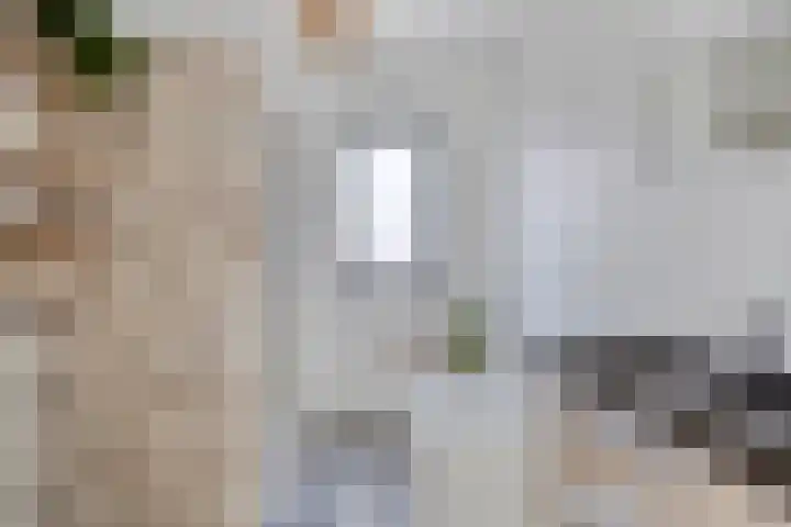 Rietkamp 1 Wapenveld thumbnail 18