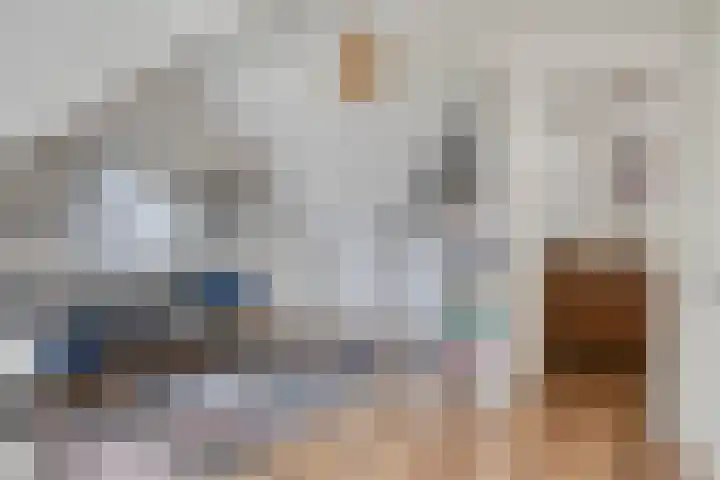 Rietkamp 1 Wapenveld thumbnail 26