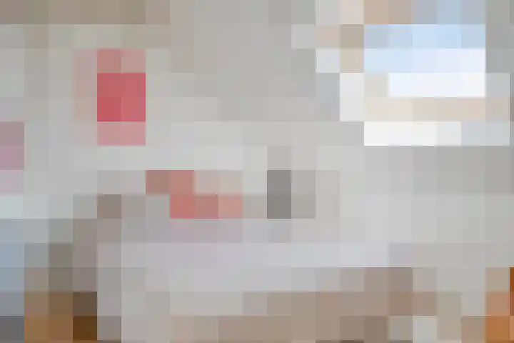 Rietkamp 1 Wapenveld thumbnail 27