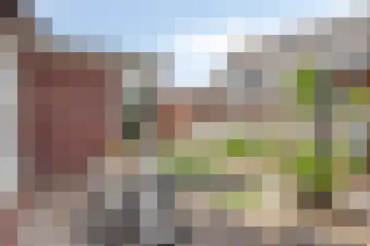 Rietkamp 1 Wapenveld thumbnail 32