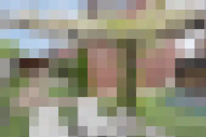 Rietkamp 1 Wapenveld thumbnail 34