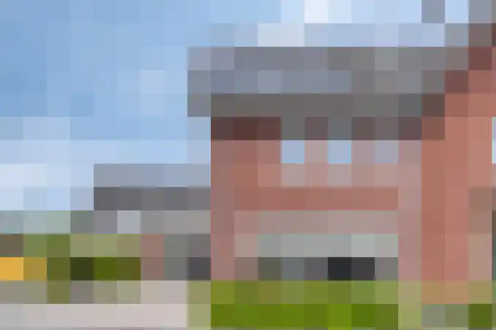 Rietkamp 1 Wapenveld thumbnail 39