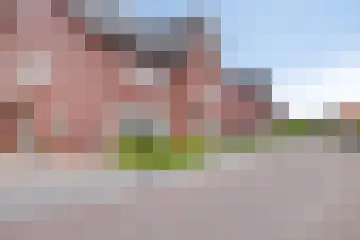 Rietkamp 1 Wapenveld thumbnail 40