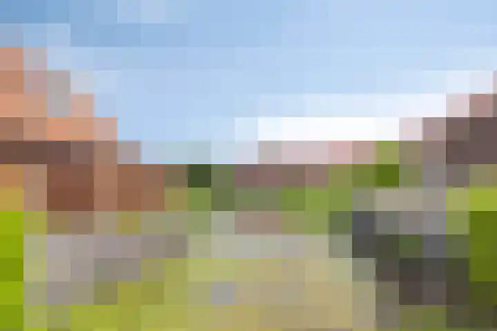 Rietkamp 1 Wapenveld thumbnail 41