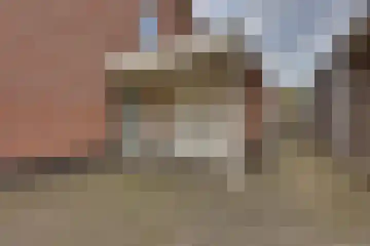 Rietkamp 11 Kampen thumbnail 10