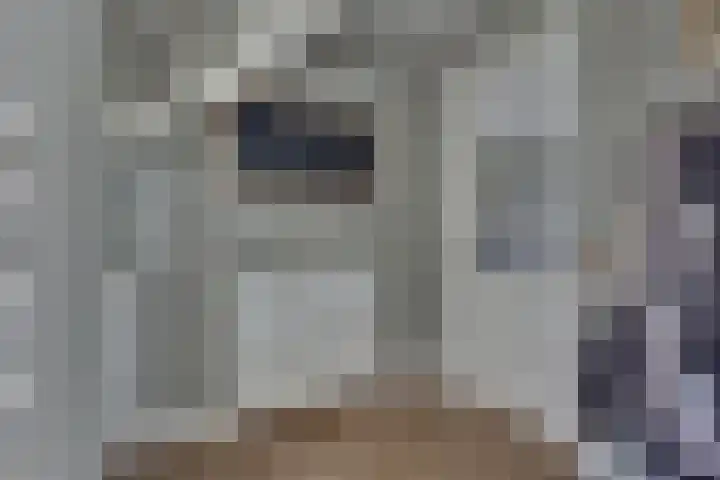 Rietkamp 11 Kampen thumbnail 13
