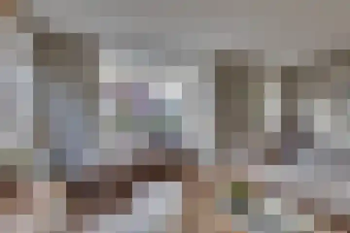 Rietkamp 11 Kampen thumbnail 14