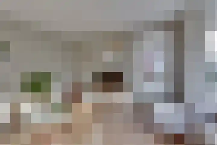 Rietkamp 11 Kampen thumbnail 15