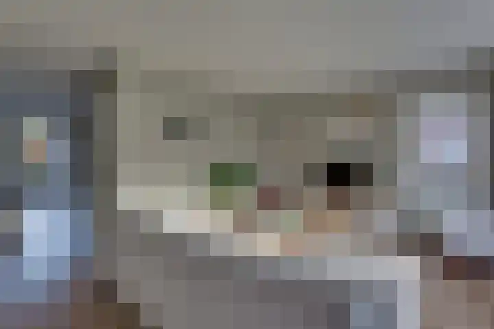 Rietkamp 11 Kampen thumbnail 17