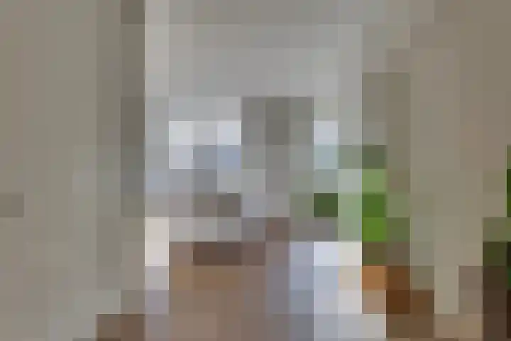 Rietkamp 11 Kampen thumbnail 18