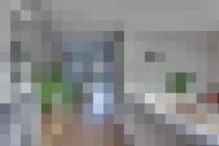 Rietkamp 11 Kampen thumbnail 19