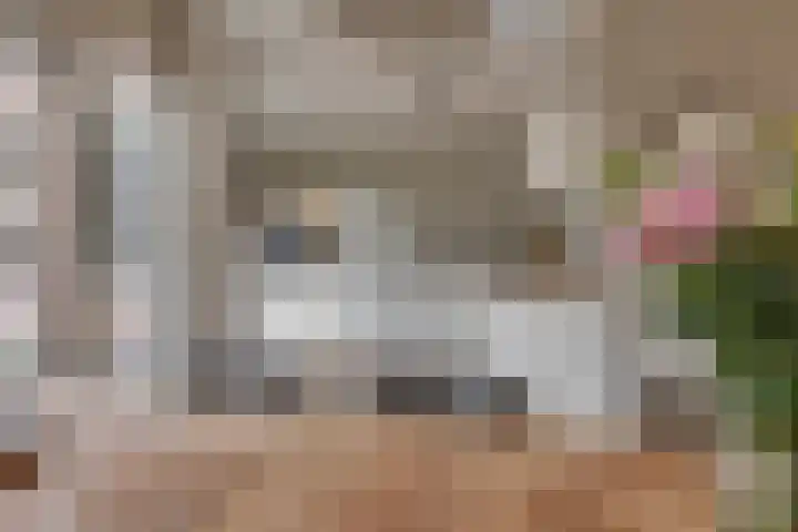 Rietkamp 11 Kampen thumbnail 22