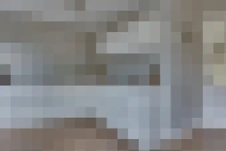 Rietkamp 11 Kampen thumbnail 23
