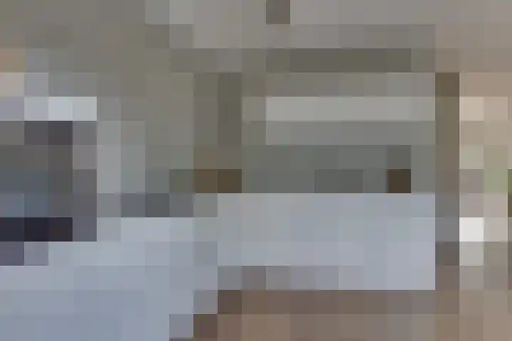 Rietkamp 11 Kampen thumbnail 24