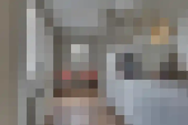 Rietkamp 11 Kampen thumbnail 26