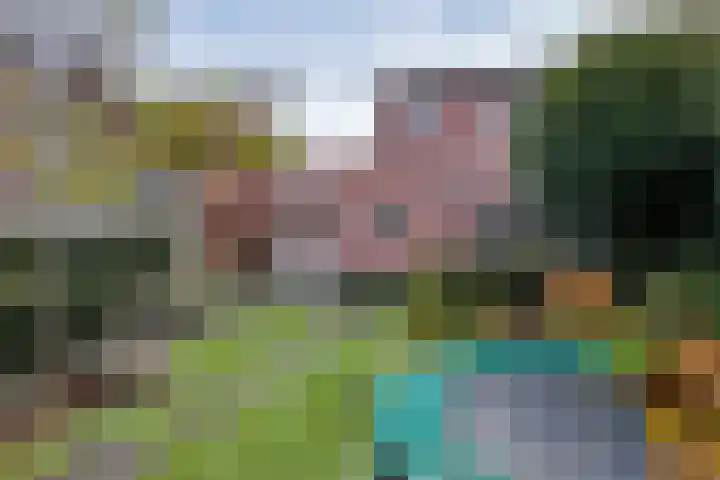 Rietkamp 11 Kampen thumbnail 31