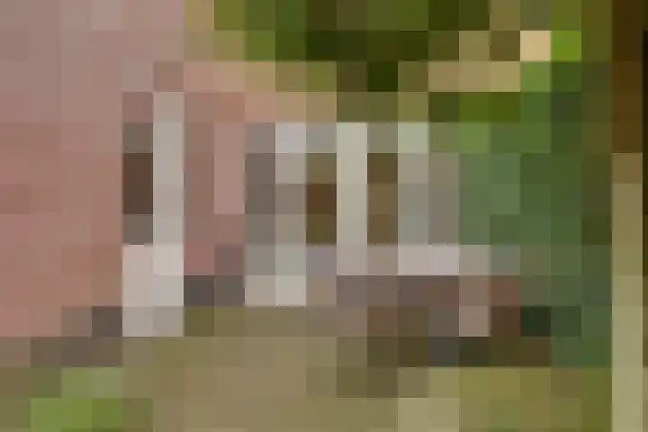 Rietkamp 11 Kampen thumbnail 32