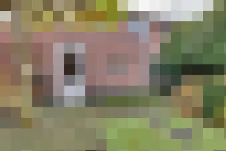 Rietkamp 11 Kampen thumbnail 33
