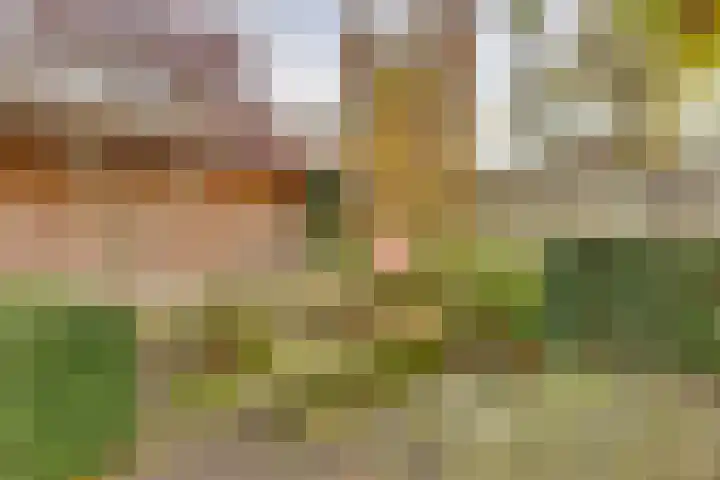 Rietkamp 11 Kampen thumbnail 34