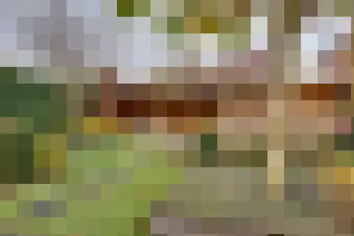 Rietkamp 11 Kampen thumbnail 36