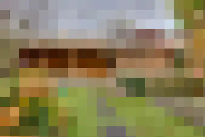 Rietkamp 11 Kampen thumbnail 37