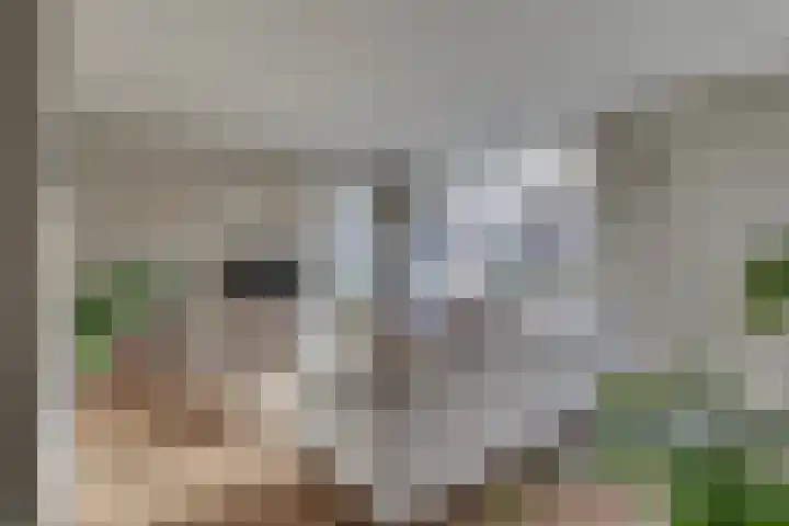Rietkamp 11 Kampen thumbnail 4
