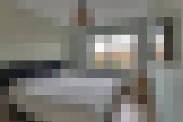 Rietkamp 11 Kampen thumbnail 40