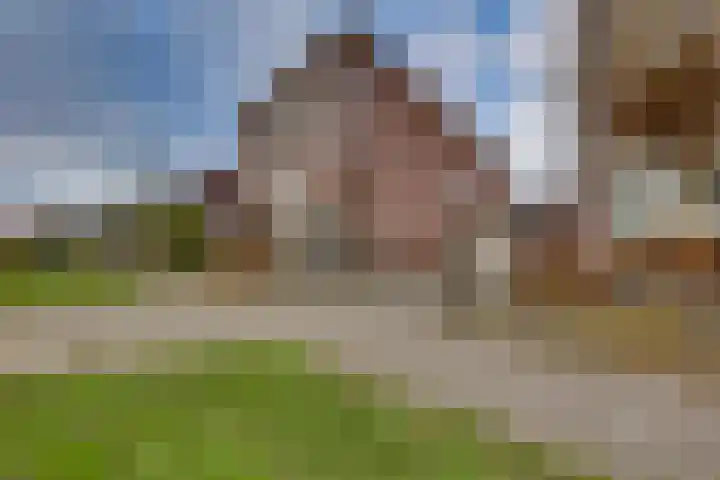 Rietkamp 11 Kampen thumbnail 56