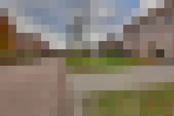 Rietkamp 11 Kampen thumbnail 57