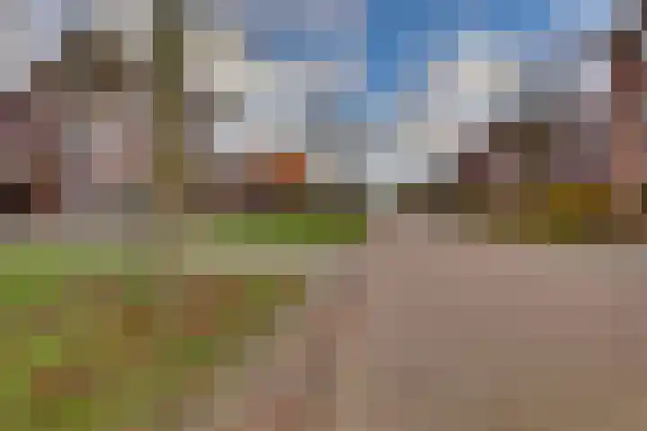 Rietkamp 11 Kampen thumbnail 58