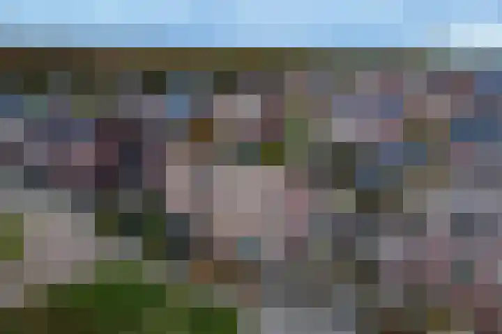 Rietkamp 11 Kampen thumbnail 6