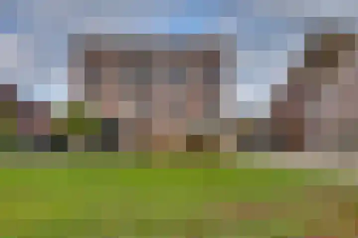 Rietkamp 11 Kampen thumbnail 8