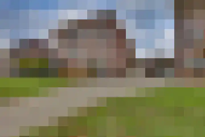 Rietkamp 11 Kampen thumbnail 9